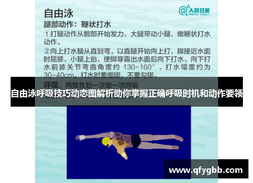 自由泳呼吸技巧动态图解析助你掌握正确呼吸时机和动作要领