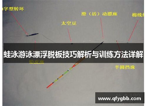 蛙泳游泳漂浮脱板技巧解析与训练方法详解